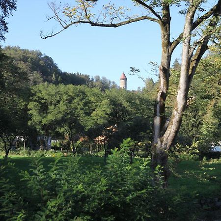 Gasthof Sturmmuehle Saxen Buitenkant foto